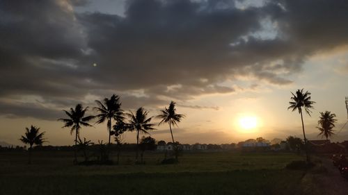 Silhouette palm trees on field against sky at sunset