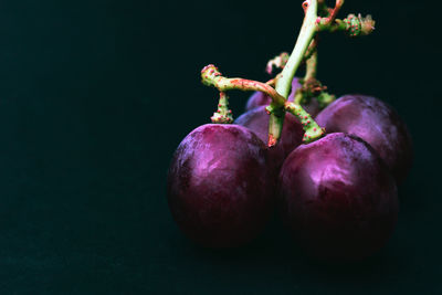 Close-up of apple against black background