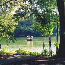 Scenic view of lake against trees