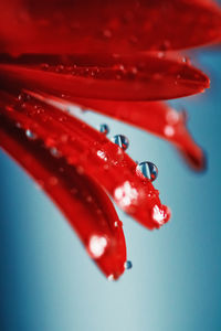 Macro shot of water drops on red background