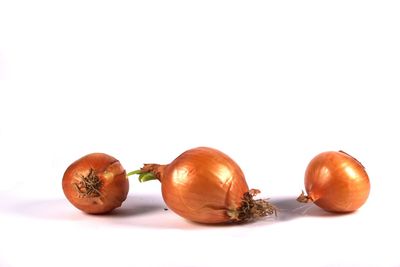 Close-up of oranges against white background