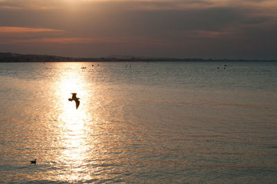 Silhouette man in sea against sky during sunset