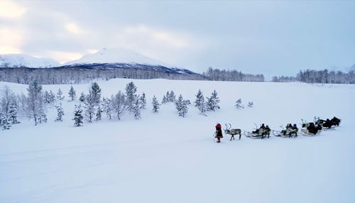 People walking on snow covered mountain against sky