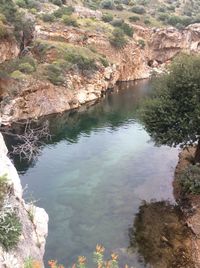 High angle view of river amidst trees