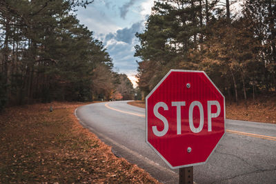 Close-up of road sign in park