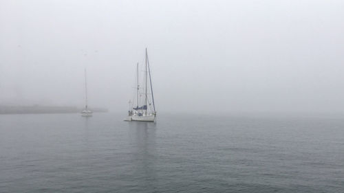 Sailboat sailing on sea against sky