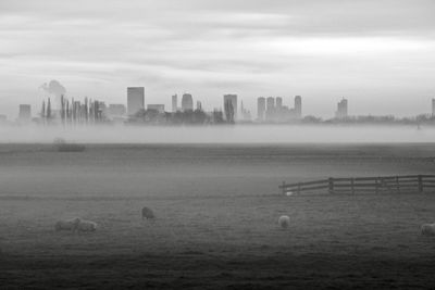 View of city over a misty field against sky