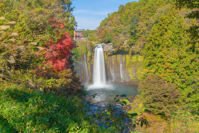 Scenic view of waterfall in forest