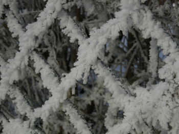 Close-up of snow