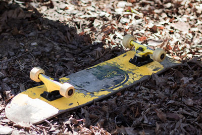 High angle view of leaves
