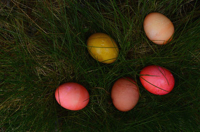 Directly above shot of multi colored easter eggs in grass