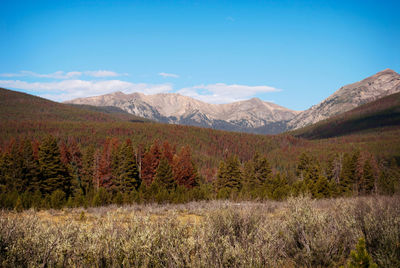 Scenic view of mountains against blue sky