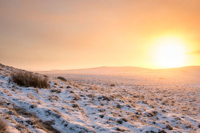 Snow covered land during sunset