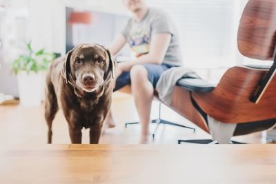 Close-up of woman with dog sitting on table