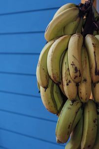 Close-up of bananas against blue wall