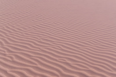 Full frame shot of sand dune