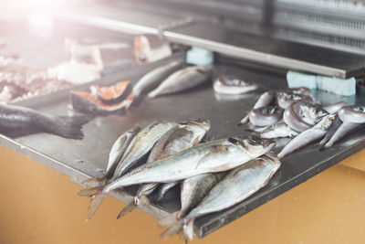 High angle view of fish on table