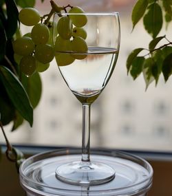 Close-up of wine in glass on table