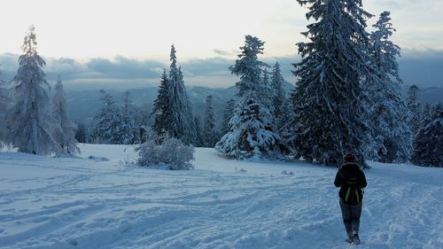 Rear view of person walking on snow covered landscape