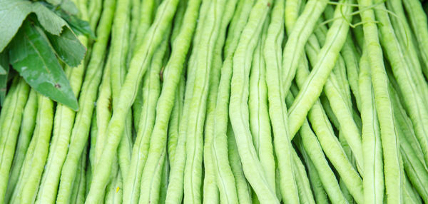 Full frame shot of chinese long beans at market for sale
