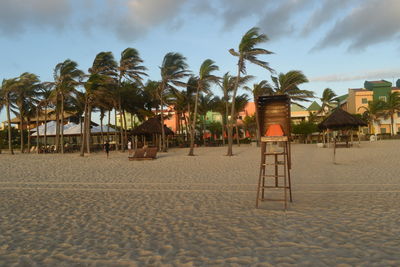 Palm trees on beach against sky