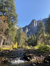 Scenic view of waterfall in forest against clear sky