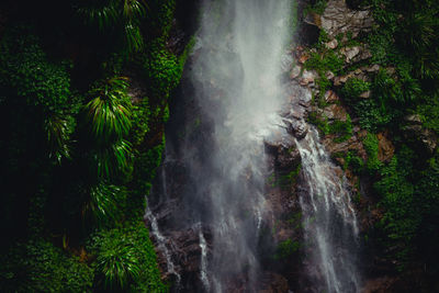 Wasserfall im nationalpark,  queensland 