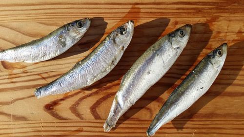 Close-up of fish on table