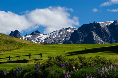 Scenic view of field and mountains against sky