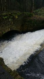 River flowing through forest