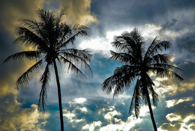 Low angle view of silhouette coconut palm tree against sky