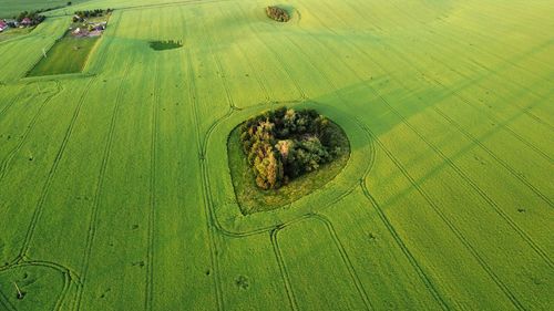 High angle view of agricultural field