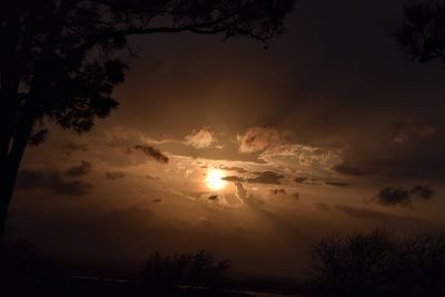 Low angle view of silhouette trees on field against cloudy sky at sunset