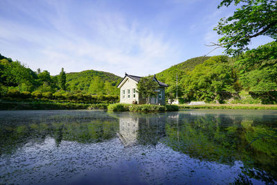 Scenic view of lake by trees against sky