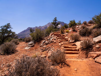 Rock steps in a hot day in zion national park, utah, usa