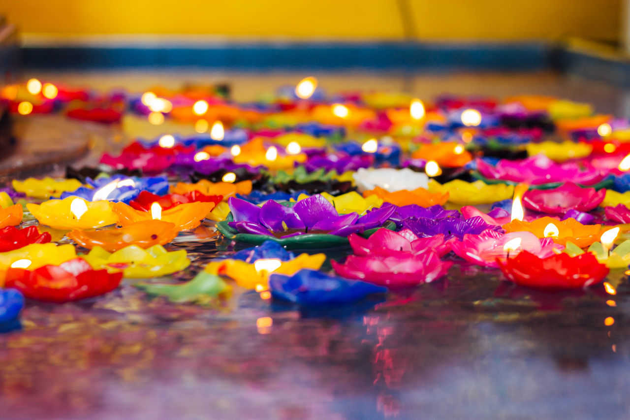 CLOSE-UP OF MULTI COLORED FLOWERS ON FLOATING