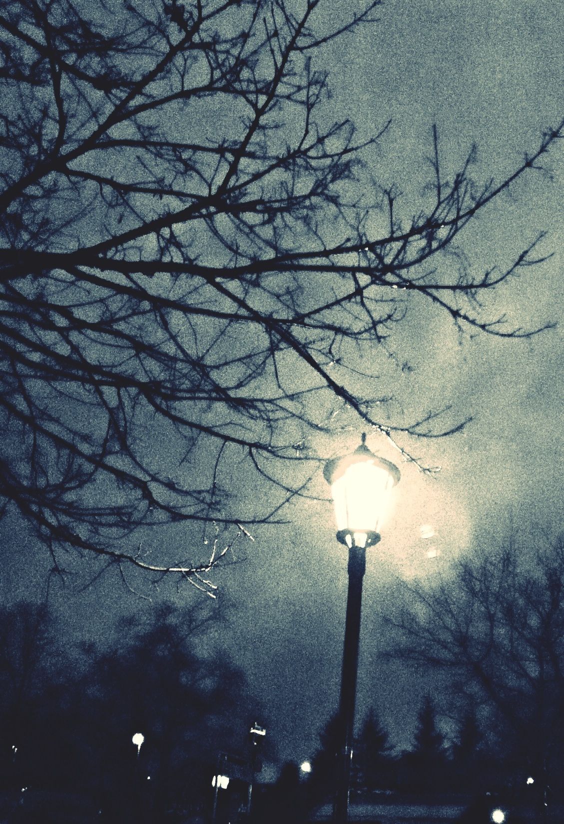 Oddrun Anita Sandbye