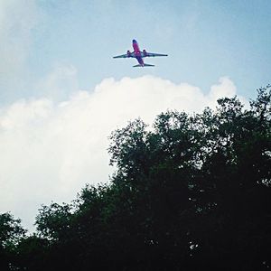 Low angle view of airplane flying in sky