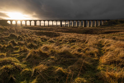 Arch bridge over field