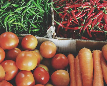 High angle view of tomatoes