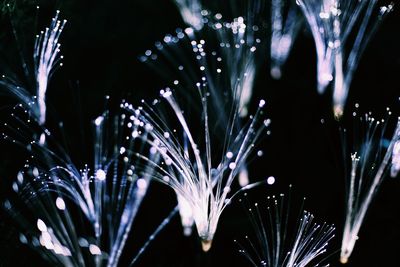 Close-up of illuminated lights against black background