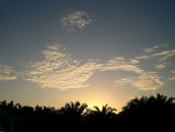 Low angle view of silhouette trees against sky