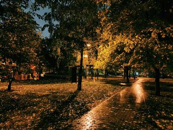 Footpath amidst trees in park during autumn