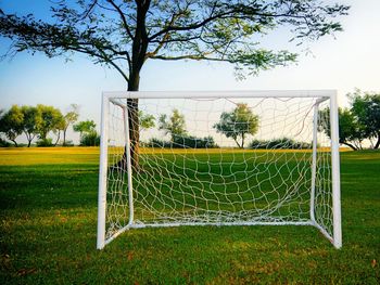 Football net on grassland