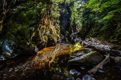 Stream flowing through rocks in forest