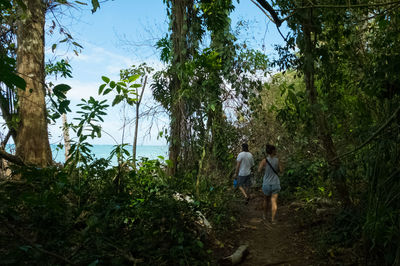 Rear view of people walking in forest