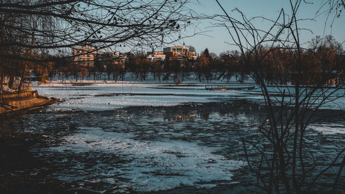 Bare trees by lake against sky during winter