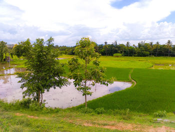 Scenic view of grassy field against cloudy sky