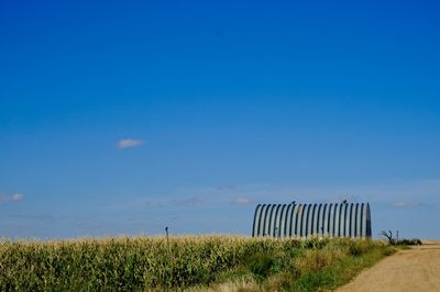 Scenic view of agricultural field against blue sky