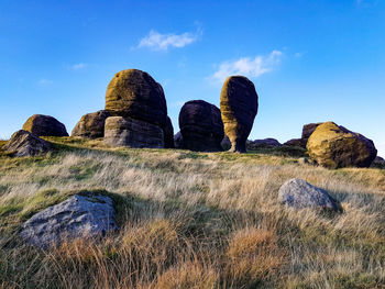 Low angle view of rocks on field against sky